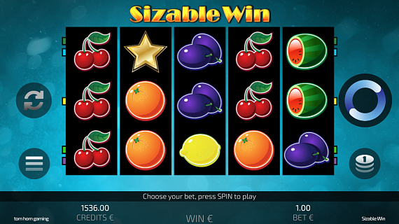 Tom Horn Gaming | Sizable Win